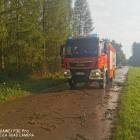 Fotka nr 4 z 11