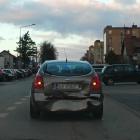 Fotka nr 5 z 7