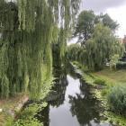 Fotka nr 1 z 4