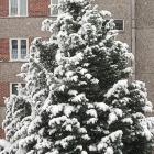 zdjęcie nr 67