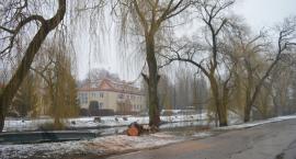 Fotka nr 4 z 13