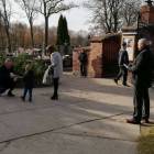 zdjęcie nr 9