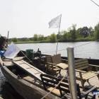 Fotka nr 3 z 12