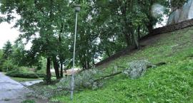 zdjęcie nr 40