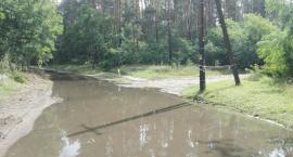 zdjęcie nr 16