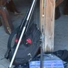 Fotka nr 4 z 14