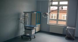zdjęcie nr 7