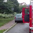 zdjęcie nr 8