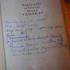 zdjęcie nr 223