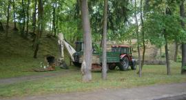 Fotka nr 3 z 13