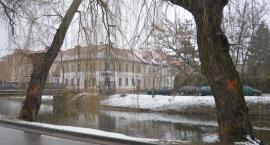 zdjęcie nr 10
