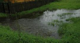 zdjęcie nr 15