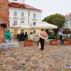 zdjęcie nr 84