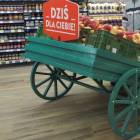 zdjęcie nr 17