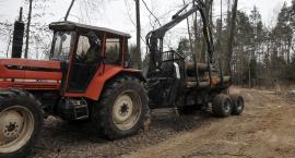 Fotka nr 5 z 14
