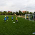 zdjęcie nr 10