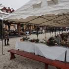 zdjęcie nr 37