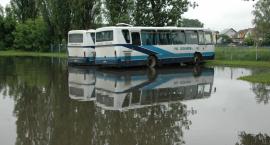 zdjęcie nr 12