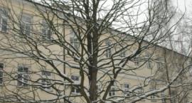 zdjęcie nr 9
