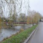 Fotka nr 5 z 7