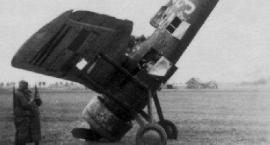 Fotka nr 2 z 3