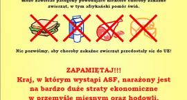 Fotka nr 1 z 2