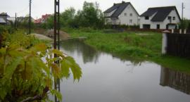 Fotka nr 1 z 2