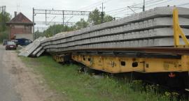 Fotka nr 2 z 3