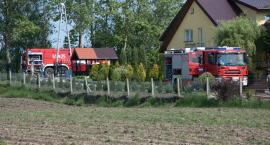 zdjęcie nr 11