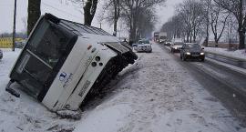 zdjęcie nr 8
