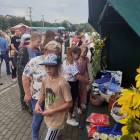 zdjęcie nr 15