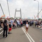 zdjęcie nr 12