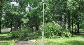 zdjęcie nr 47