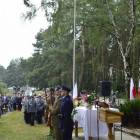 zdjęcie nr 37