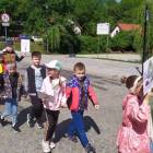 zdjęcie nr 7