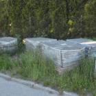 zdjęcie nr 9