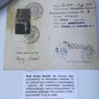 Fotka nr 5 z 19