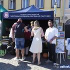 zdjęcie nr 45