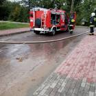 zdjęcie nr 12