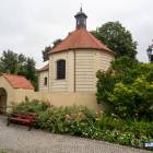 Fotka nr 2 z 21