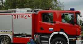 zdjęcie nr 7