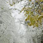 zdjęcie nr 70