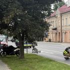 zdjęcie nr 8