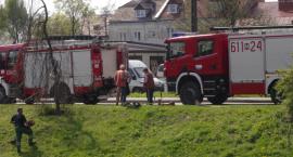 Fotka nr 1 z 4