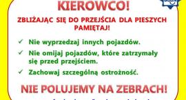 Fotka nr 2 z 6