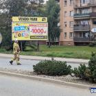 zdjęcie nr 12