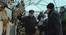 zdjęcie nr 7