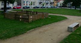 zdjęcie nr 7