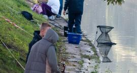 zdjęcie nr 14