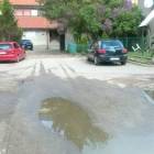 zdjęcie nr 8